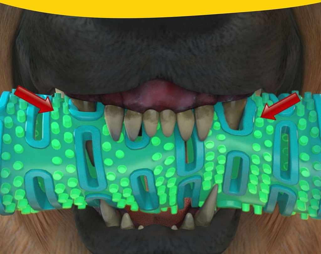 Mordedor Dental Interactivo para Perros