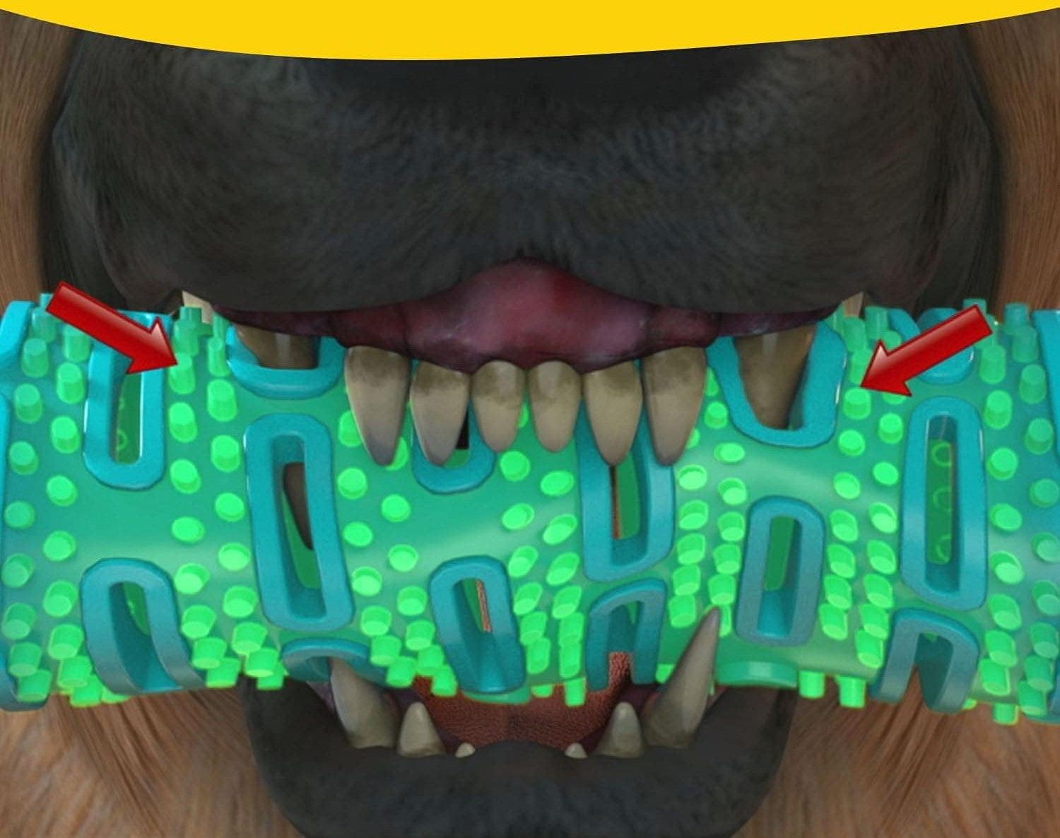 Mordedor Dental Interactivo para Perros