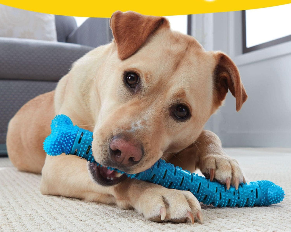 Mordedor Dental Interactivo para Perros