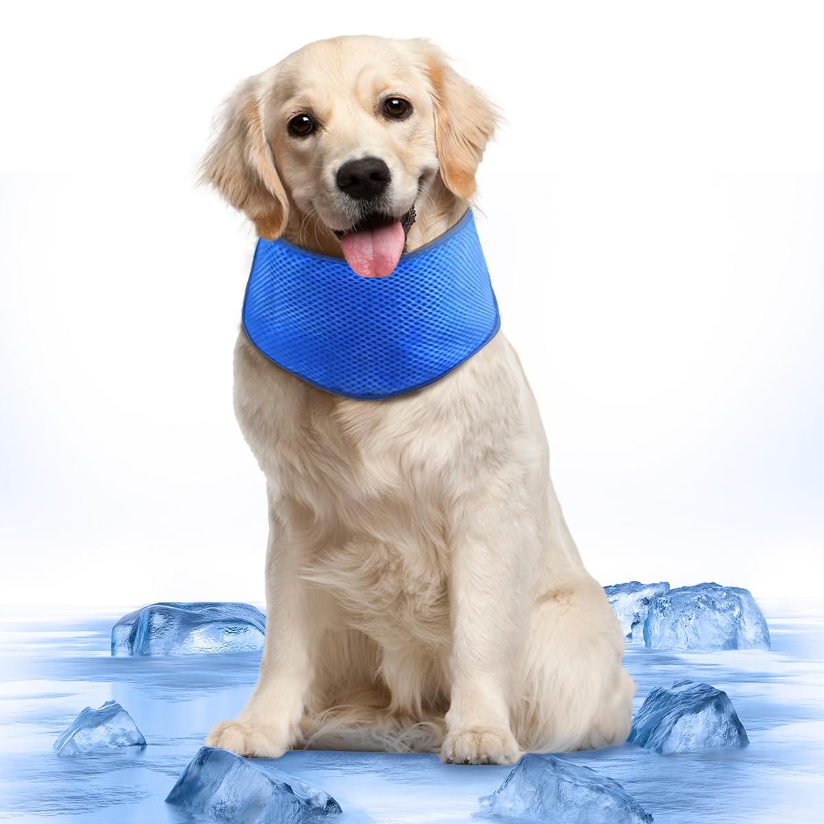 Collar térmico anti-calor edición premium