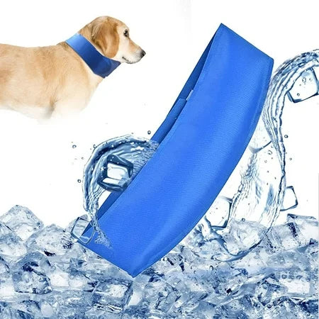 Collar térmico anti-calor edición premium