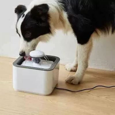 Fuente Automática para Mascotas | Agua Siempre Fresca