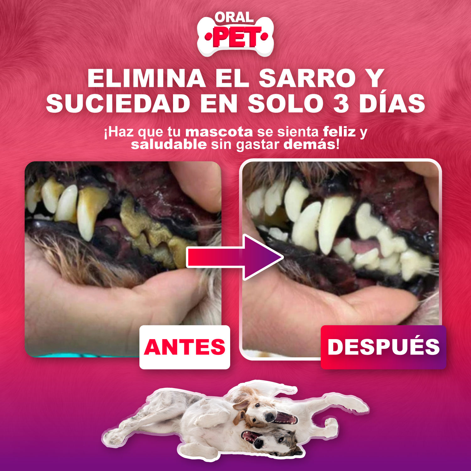Spray Dental para Perros y Gatos